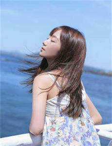流星蝴蝶剑2010
